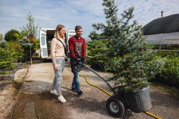 Best Tree Trimming Near Me  in Socorro, NM